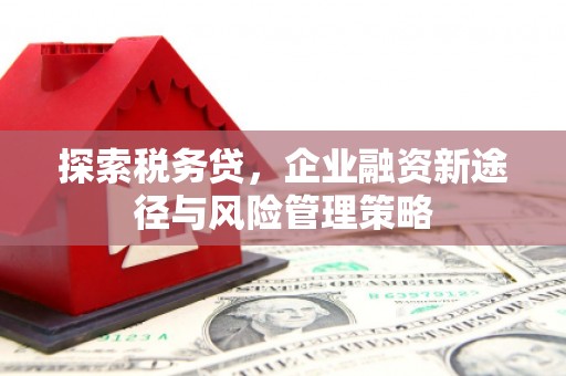 荥经探索税务贷，企业融资新途径与风险管理策略