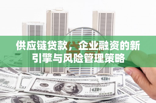 荥经供应链贷款，企业融资的新引擎与风险管理策略