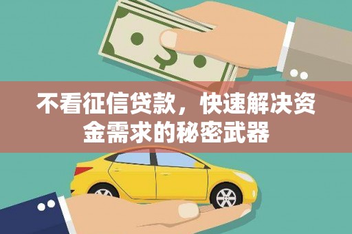 荥经不看征信贷款，快速解决资金需求的秘密武器