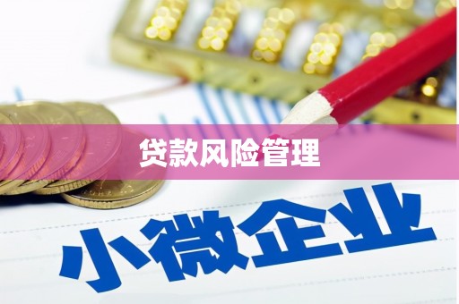荥经贷款风险管理
