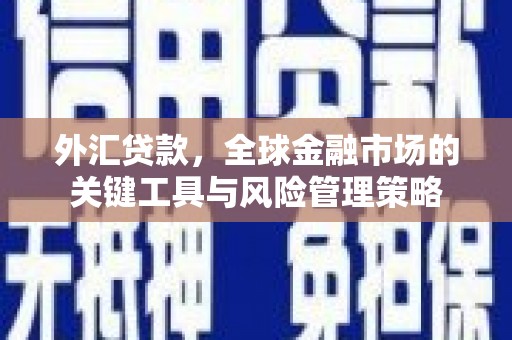 荥经外汇贷款，全球金融市场的关键工具与风险管理策略