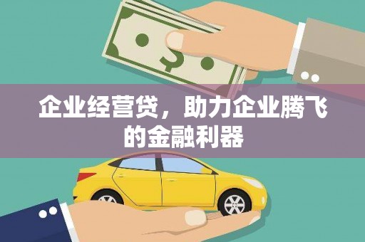 荥经企业经营贷，助力企业腾飞的金融利器