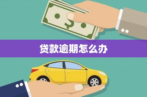 荥经贷款逾期怎么办