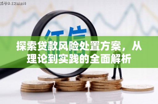 荥经探索贷款风险处置方案，从理论到实践的全面解析