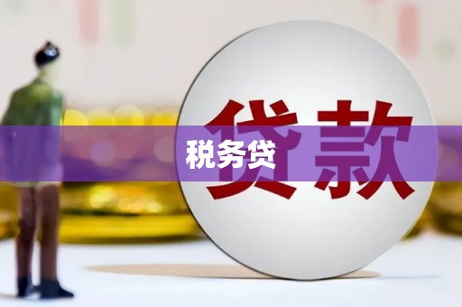 荥经税务贷