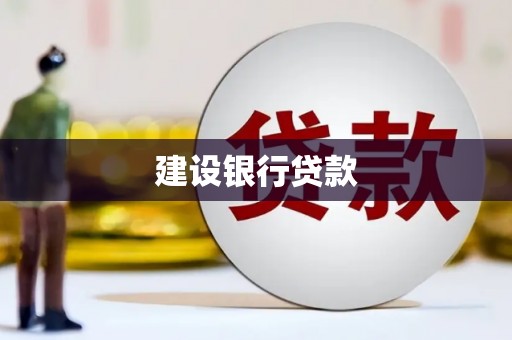 荥经建设银行贷款