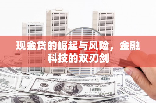 荥经现金贷的崛起与风险，金融科技的双刃剑