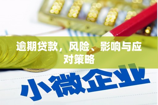 荥经逾期贷款，风险、影响与应对策略