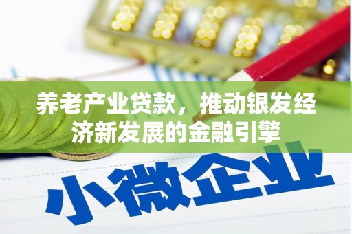 荥经养老产业贷款，推动银发经济新发展的金融引擎