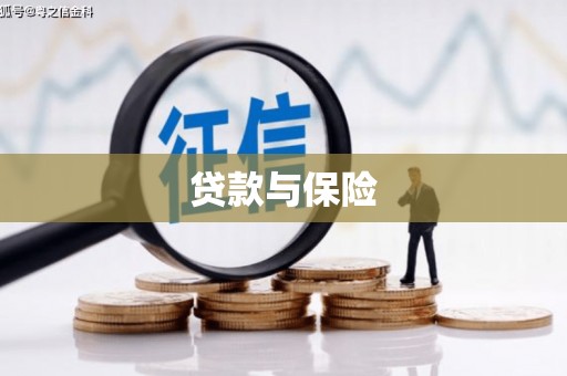 荥经贷款与保险