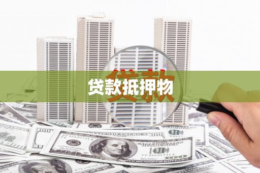 荥经贷款抵押物
