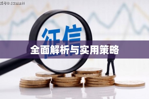 荥经全面解析与实用策略