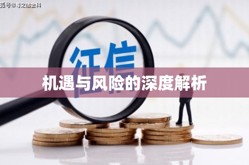 荥经机遇与风险的深度解析