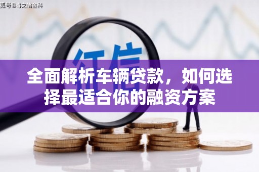 荥经全面解析车辆贷款，如何选择最适合你的融资方案