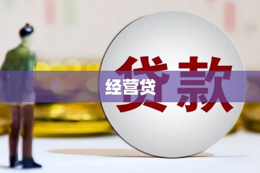 荥经经营贷