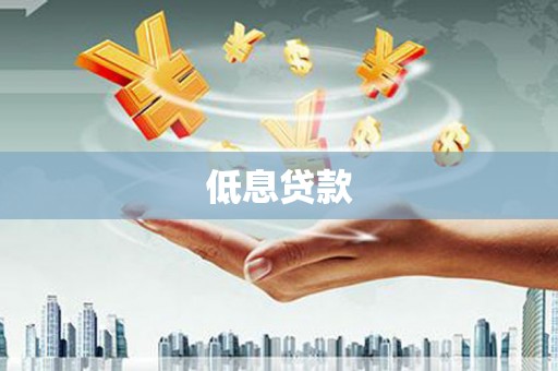 荥经低息贷款