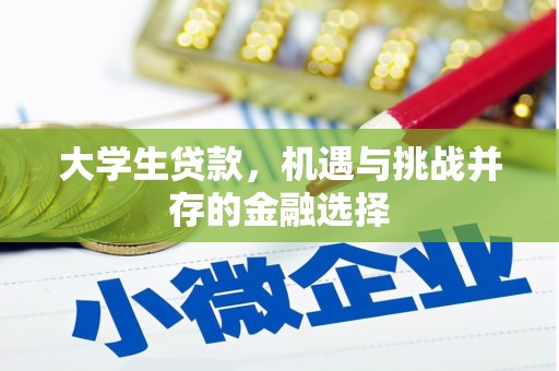 荥经大学生贷款，机遇与挑战并存的金融选择