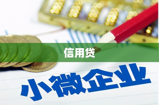 荥经信用贷