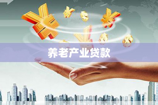 荥经养老产业贷款