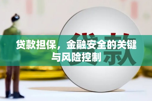荥经贷款担保，金融安全的关键与风险控制