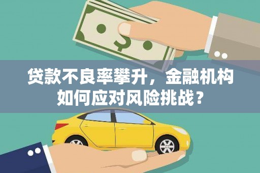 荥经贷款不良率攀升，金融机构如何应对风险挑战？