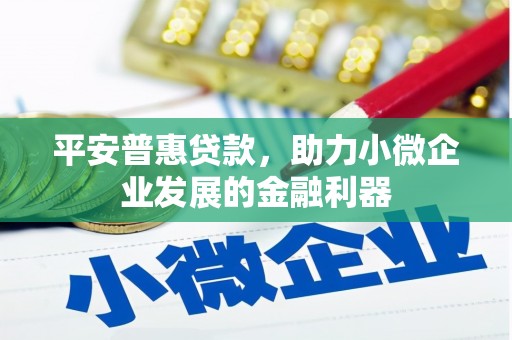 荥经平安普惠贷款，助力小微企业发展的金融利器