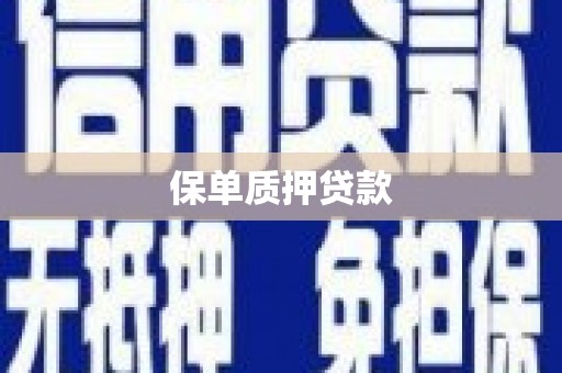 荥经保单质押贷款