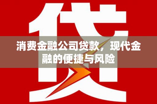 荥经消费金融公司贷款，现代金融的便捷与风险