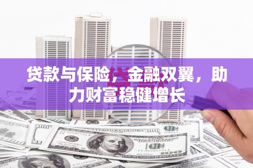 荥经贷款与保险，金融双翼，助力财富稳健增长