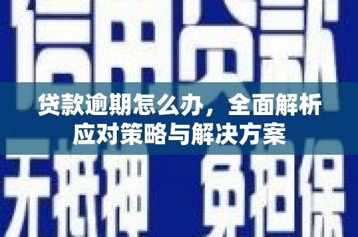 荥经贷款逾期怎么办，全面解析应对策略与解决方案