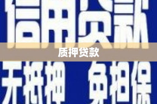 荥经质押贷款