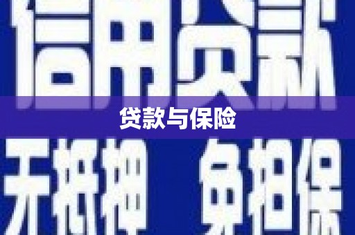 荥经贷款与保险