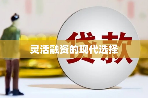 荥经灵活融资的现代选择