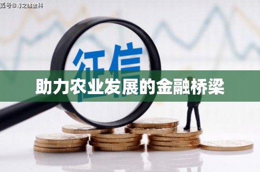 荥经助力农业发展的金融桥梁
