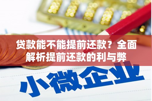 荥经贷款能不能提前还款？全面解析提前还款的利与弊