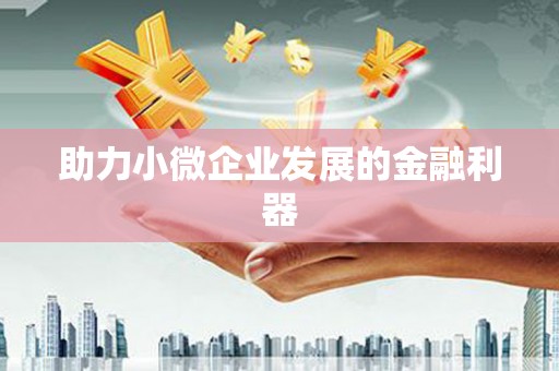 荥经助力小微企业发展的金融利器