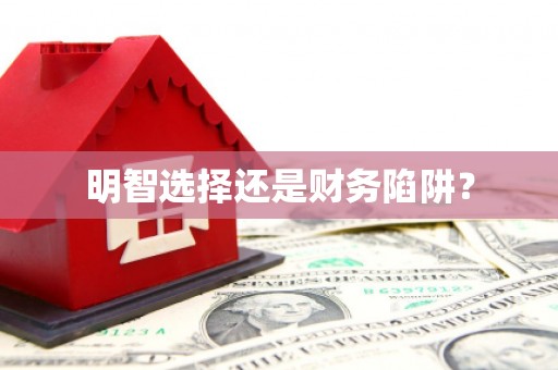 荥经明智选择还是财务陷阱？