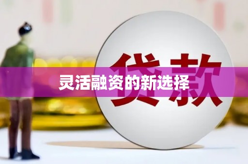荥经灵活融资的新选择