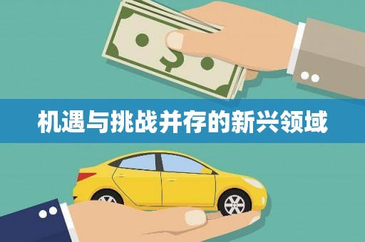 荥经机遇与挑战并存的新兴领域