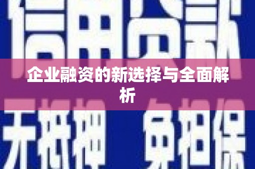 荥经企业融资的新选择与全面解析
