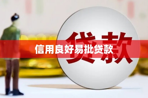 荥经信用良好易批贷款