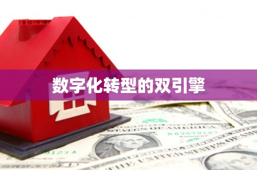 荥经数字化转型的双引擎
