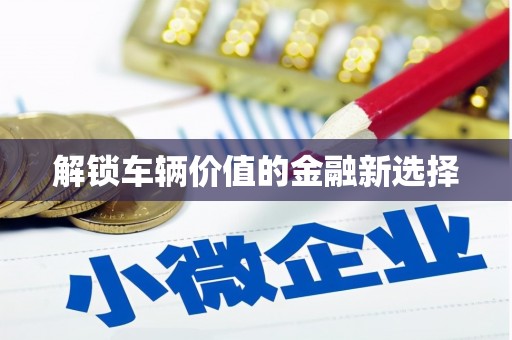 荥经解锁车辆价值的金融新选择