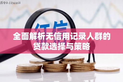 荥经全面解析无信用记录人群的贷款选择与策略