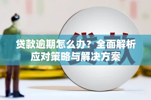 荥经贷款逾期怎么办？全面解析应对策略与解决方案
