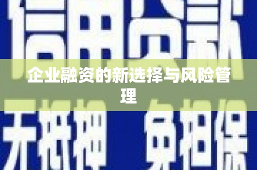 荥经企业融资的新选择与风险管理