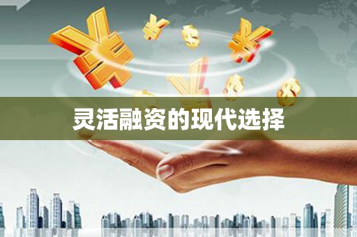 荥经灵活融资的现代选择