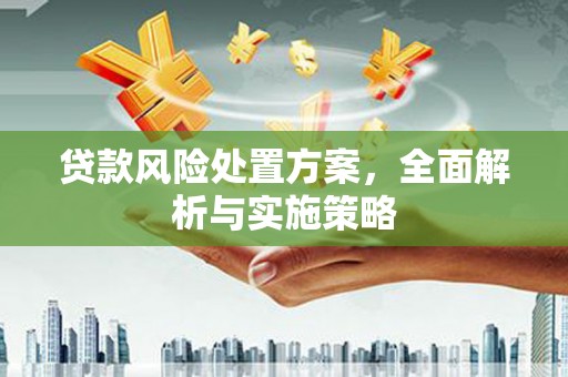 荥经贷款风险处置方案，全面解析与实施策略