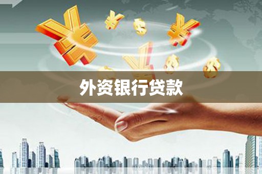 荥经外资银行贷款