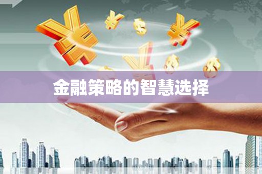 荥经金融策略的智慧选择